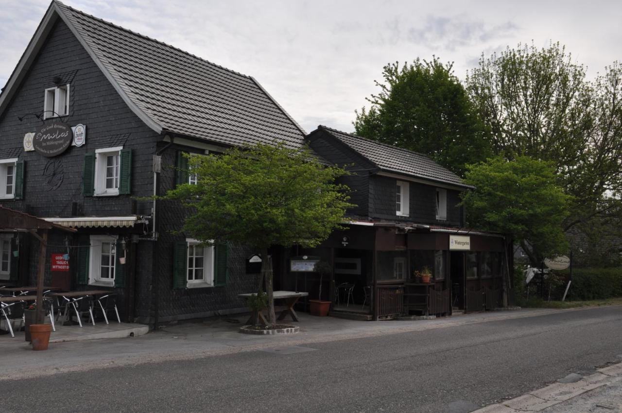 Sterner Obgruiten Haan Luaran gambar